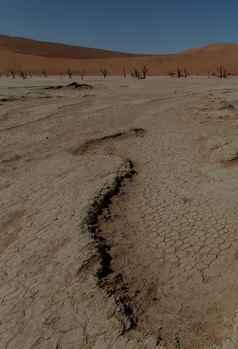Las consecuencias económicas del cambio climático