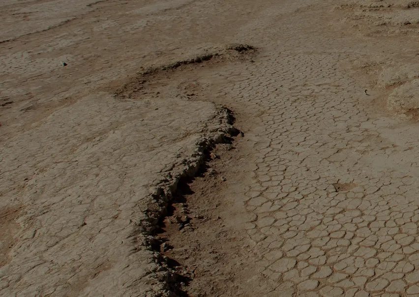 Las consecuencias económicas del cambio climático