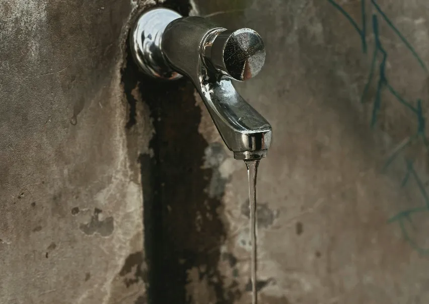 El agua en España: clave para el futuro de la alimentación en Europa