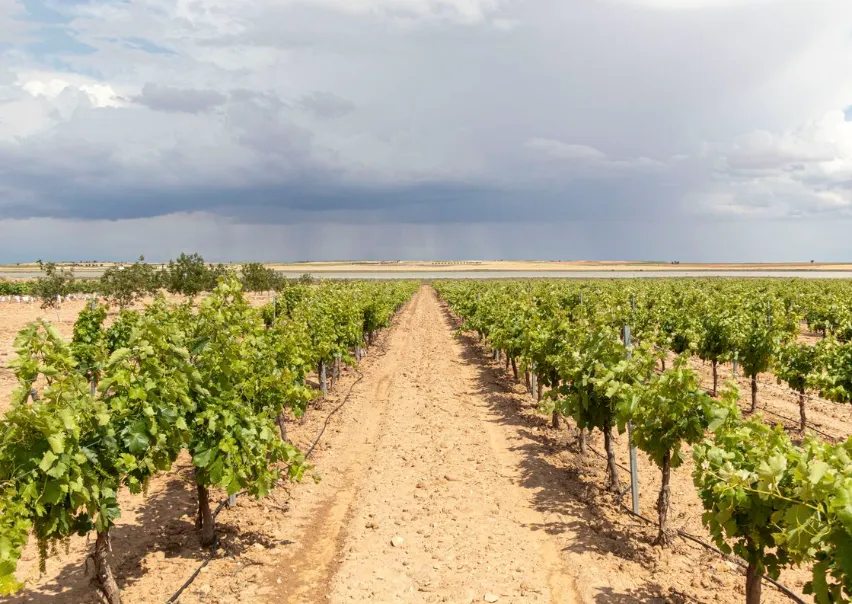 El Confidencial: La sequía preocupa al 94% del medio rural y al 90% del entorno urbano, según un estudio