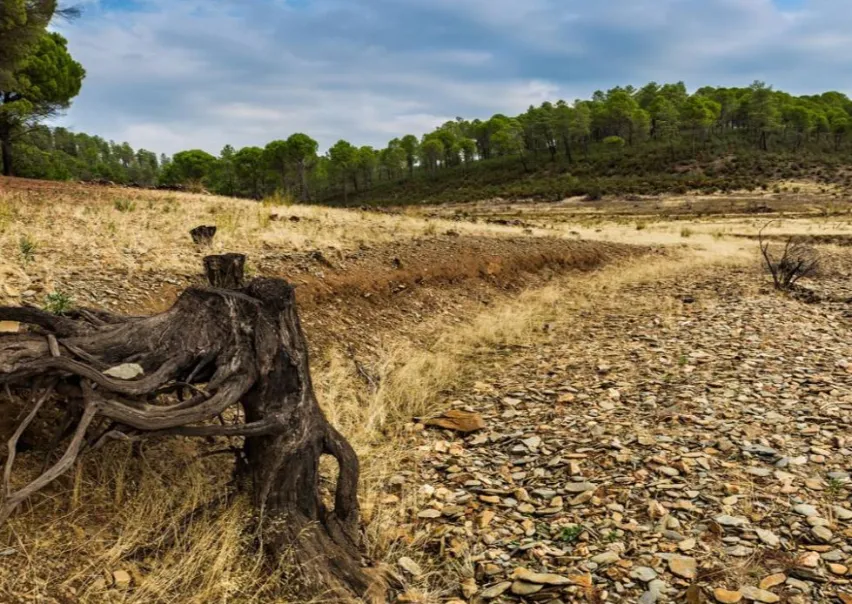 ¿Cómo se convirtió la lucha contra el cambio climático en un tema partidista?