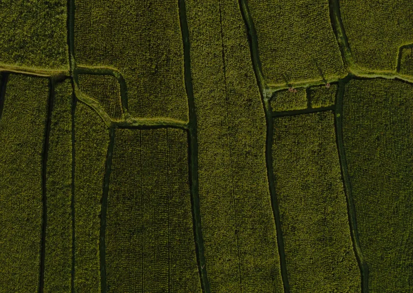 Capital natural: La financiación privada en beneficio de la naturaleza