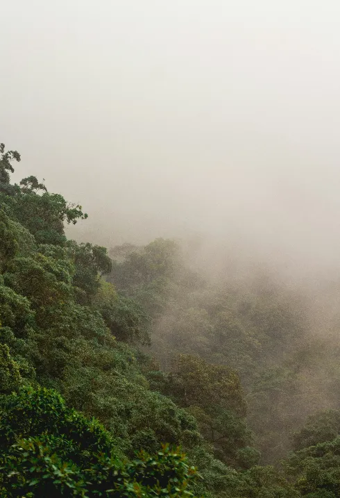 La Razón: COP30 y la crisis del multilateralismo