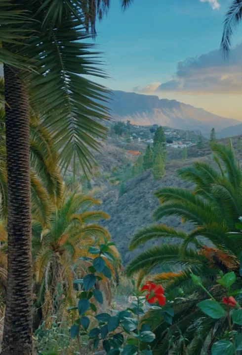 Diplomacia y capital natural: la protección de la naturaleza en la acción exterior española