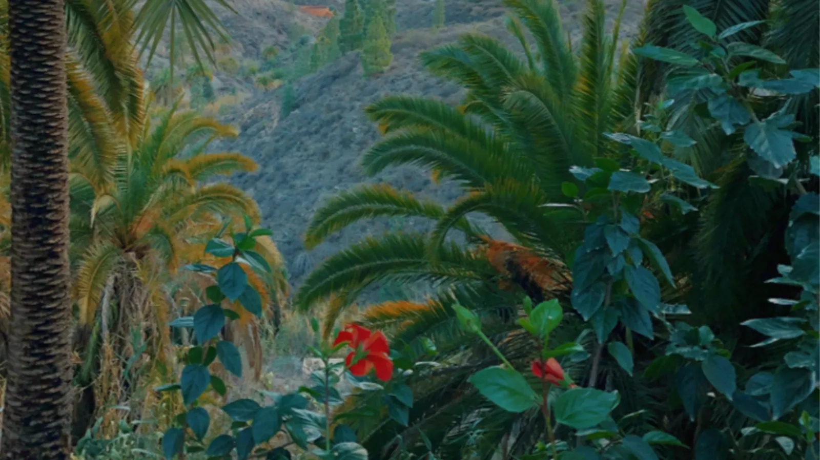 Diplomacia y capital natural: la protección de la naturaleza en la acción exterior española