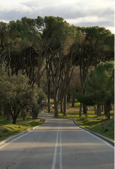 La biodiversidad es economía