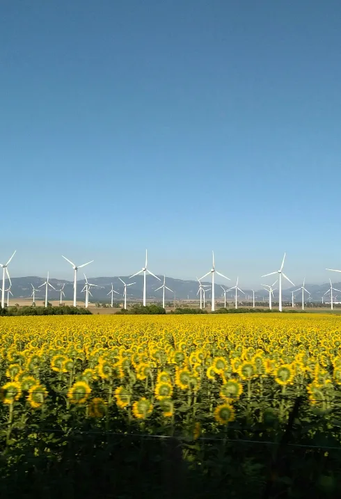Del excepcionalismo climático a política del sistema