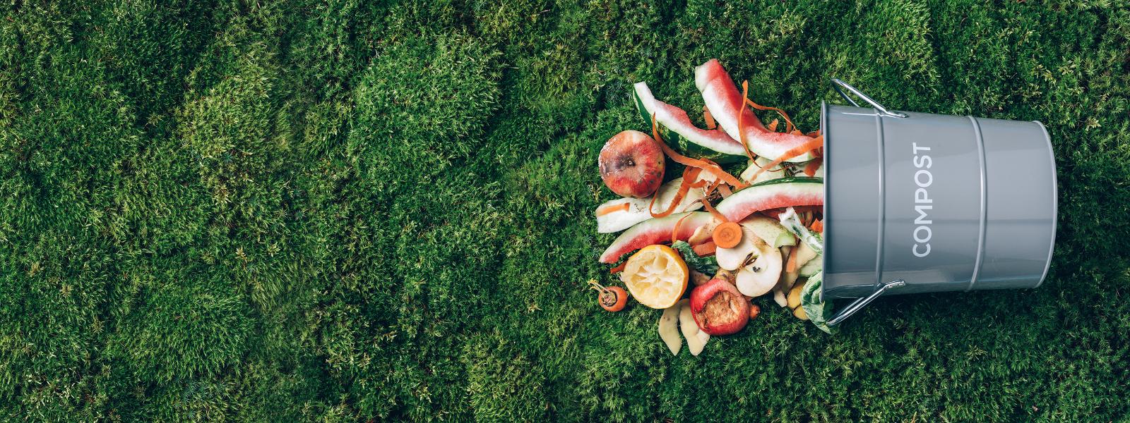 Img. principal: ¿Quieres ser un superhéroe contra el desperdicio de alimentos?