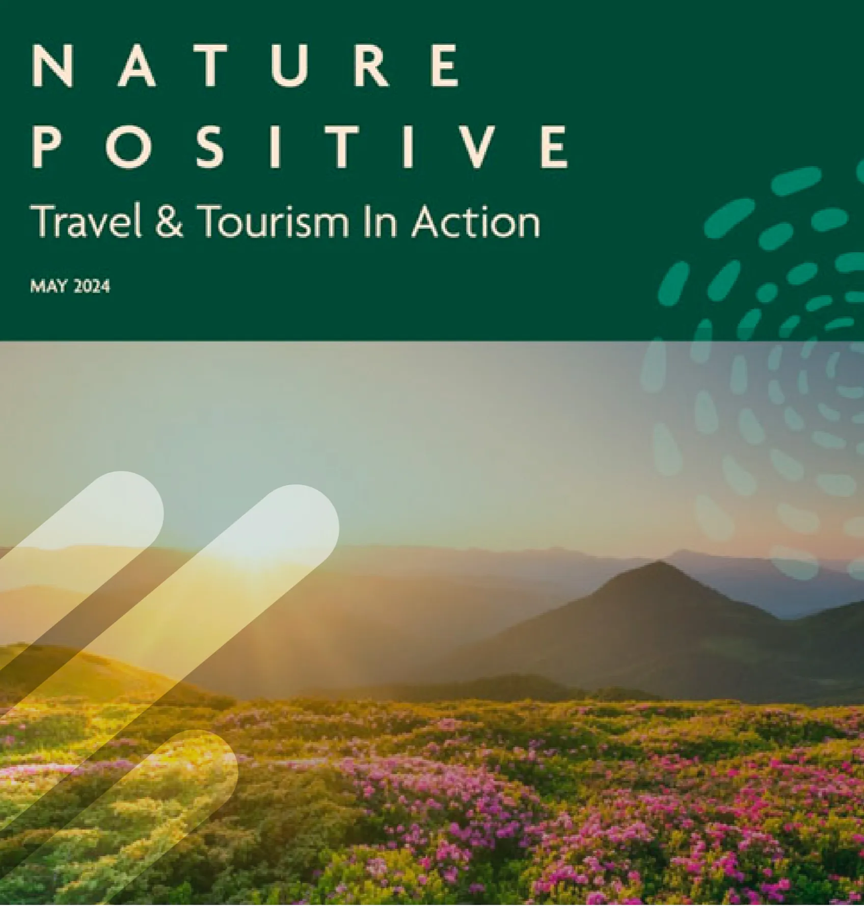 The Preverisk Group is featured in the Nature Positive Travel & Tourism report prepared by Animondial