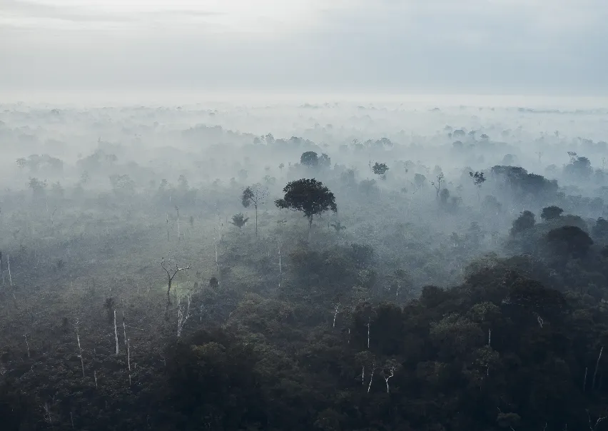 La Razón: COP30 y la crisis del multilateralismo