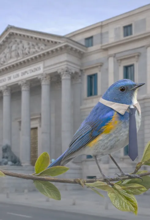 El Ecologista de Derechas