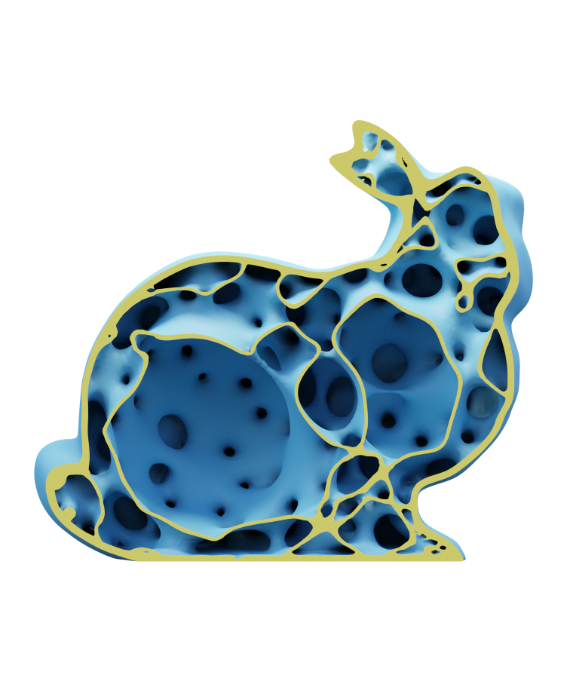 Crosssection Image