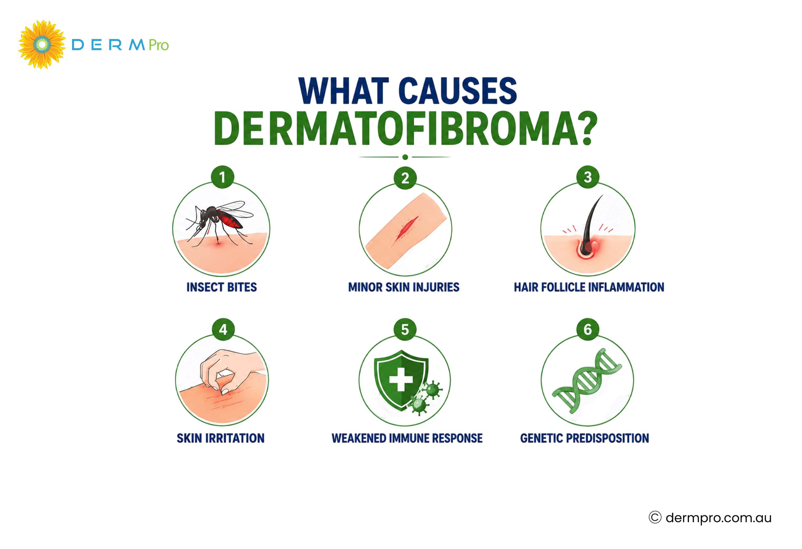 what causes dermatofibroma?