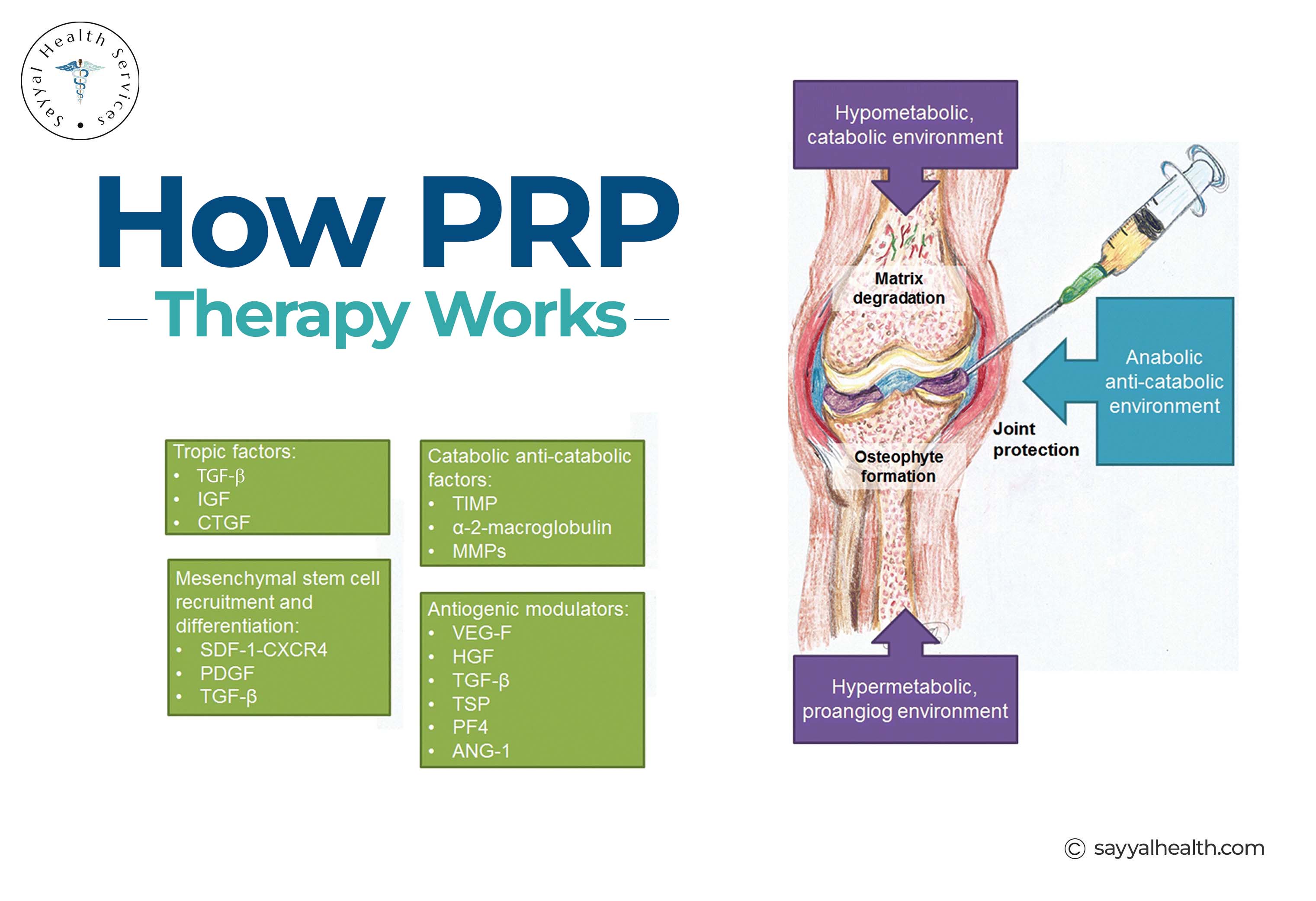 How PRP Therapy Works