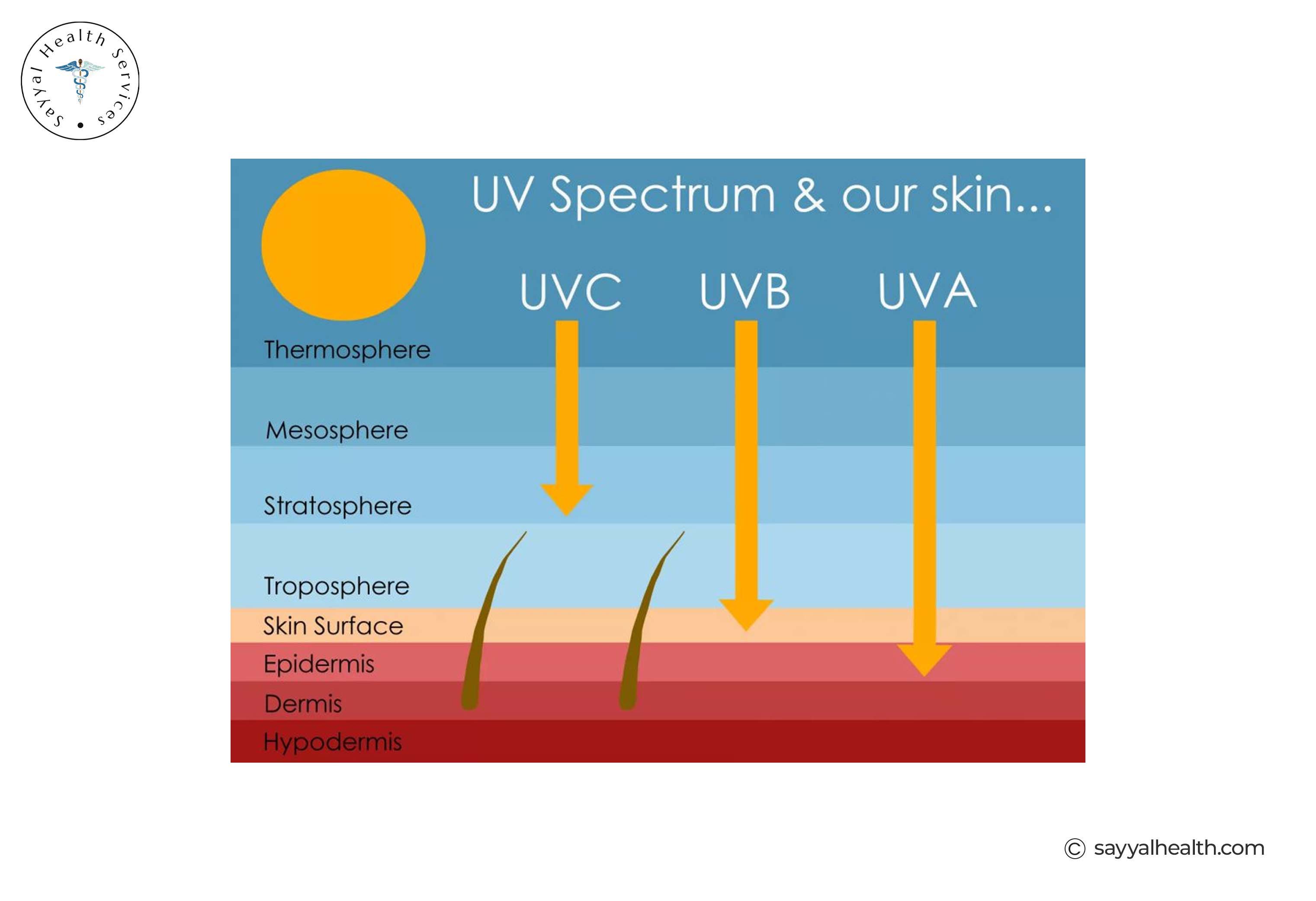 UV spectrum UVA UVB UVC penetration into skin layers diagram