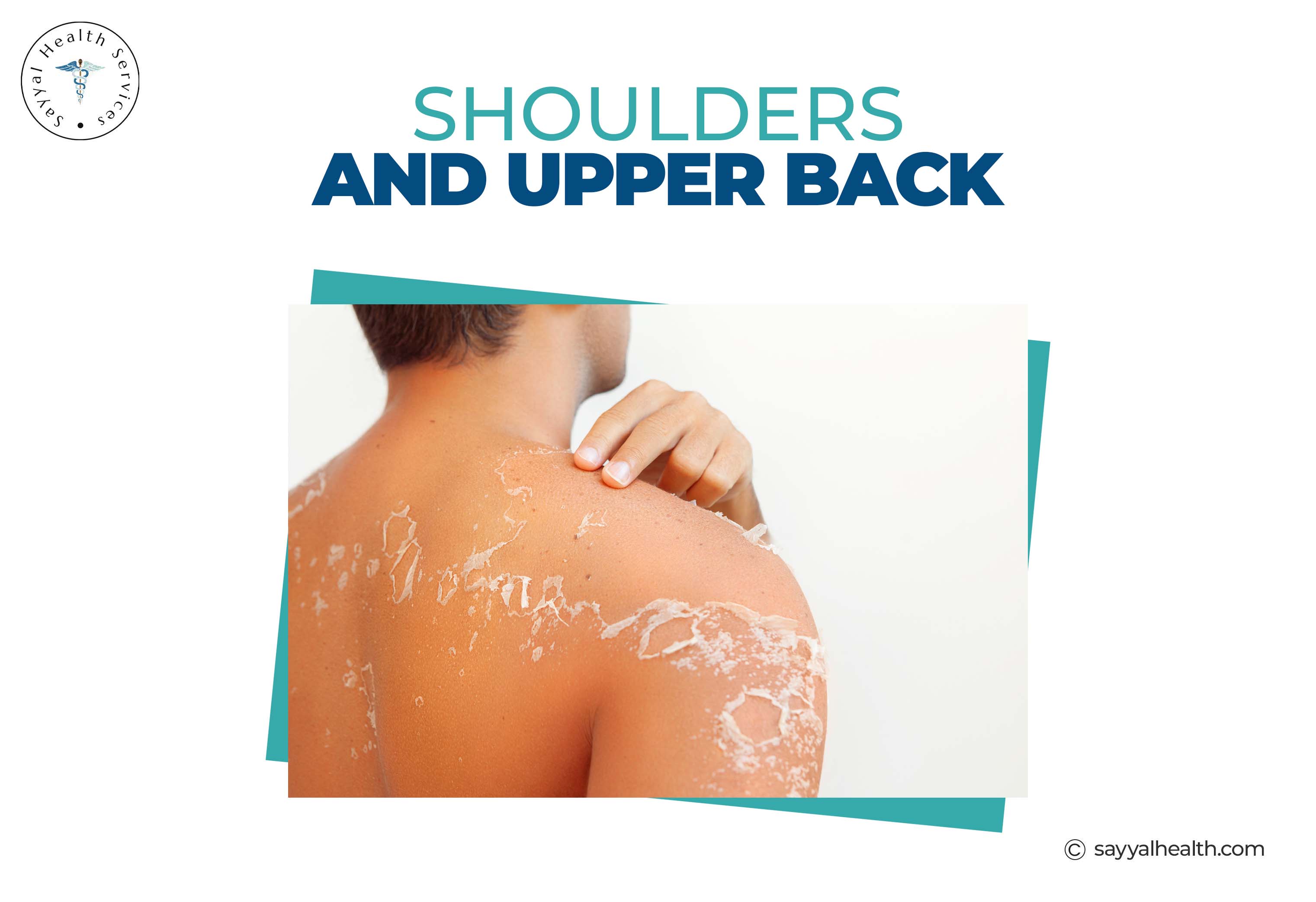 Shoulders and Upper Back