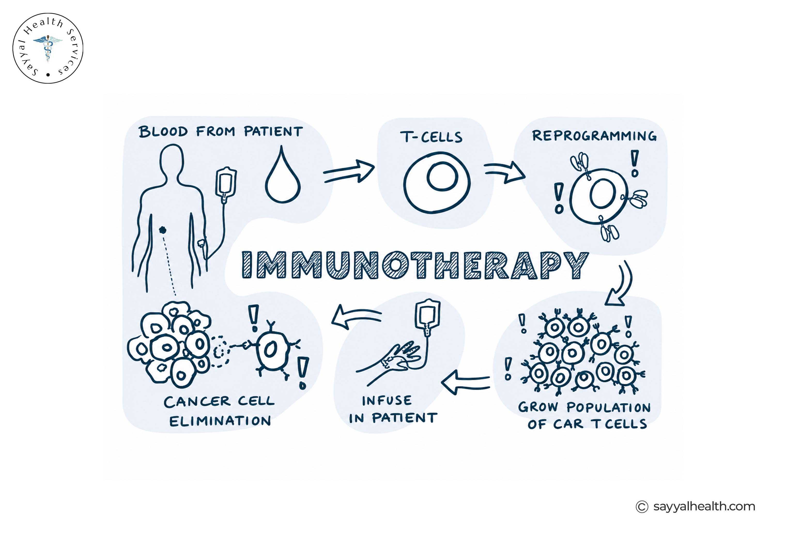 Immunotherapy in Melanoma