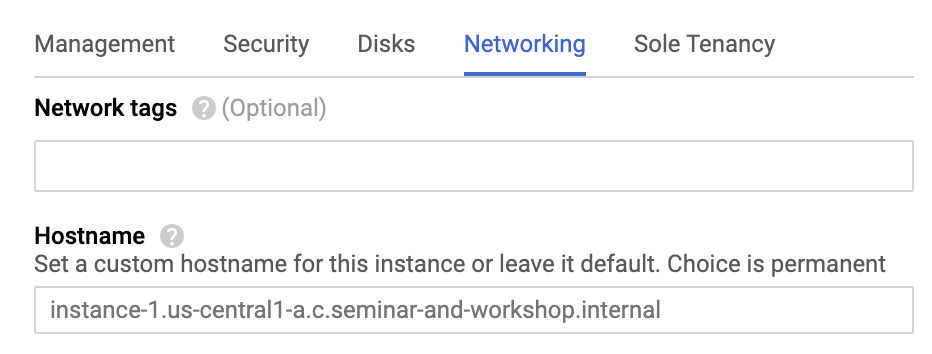 Network Tag and Hostname