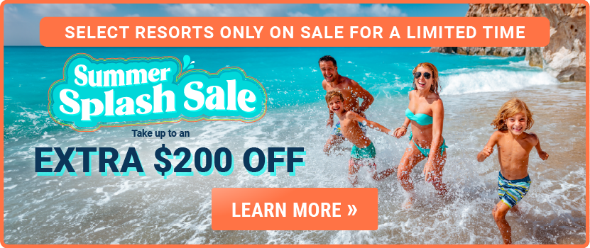 Summer Splash Sale