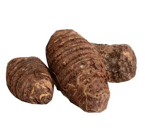 Yautia Coco