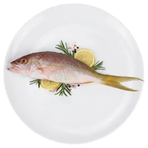 Pescado Colirrubia Fresca Atlántico Norte