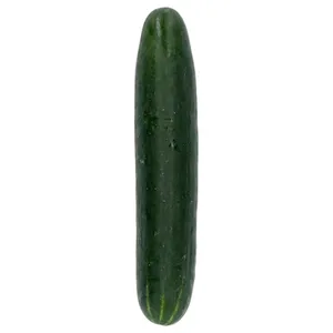 Pepino (ori R.dominicana)
