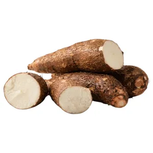 Yautia Blanca