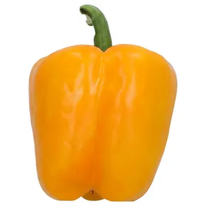 Pimiento Morron Amarillo
