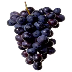 Uva Negra Sin Semilla (ori Usa
