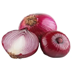 Cebolla Rojas Criollas Lb