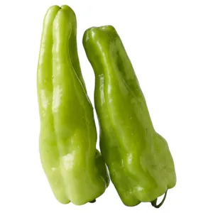 Aji Cubanela (ori Rdominicana