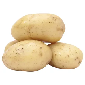 Papa Yan Jumbo Importada