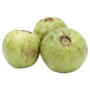 Guayaba Injerta