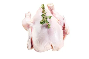 Carne Pato Importado