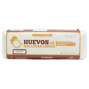 Huevos Extra Grandes Marrones Endy 12 Unidades