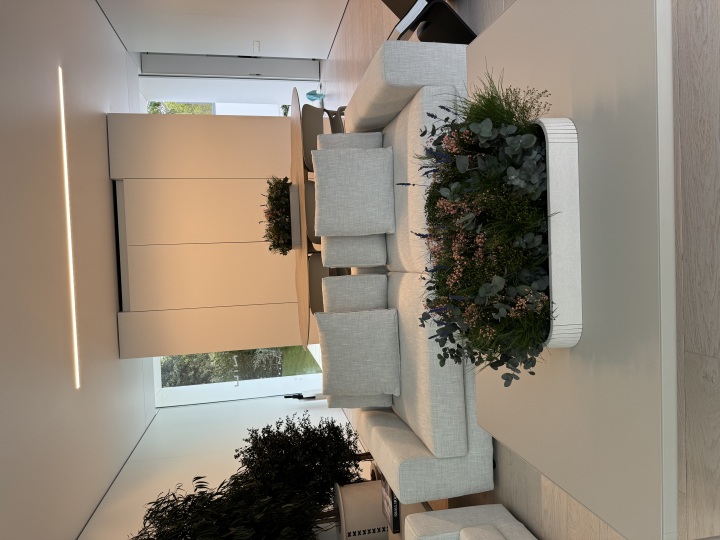 Planta con macetero 2