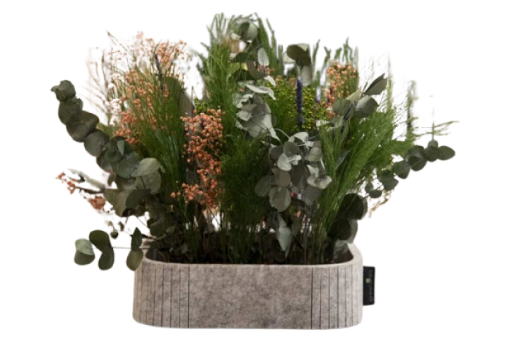 Planta con macetero 0