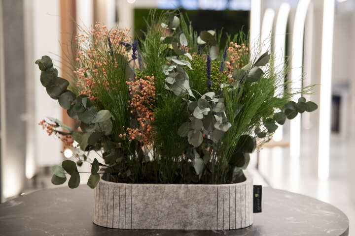 Planta con macetero 4