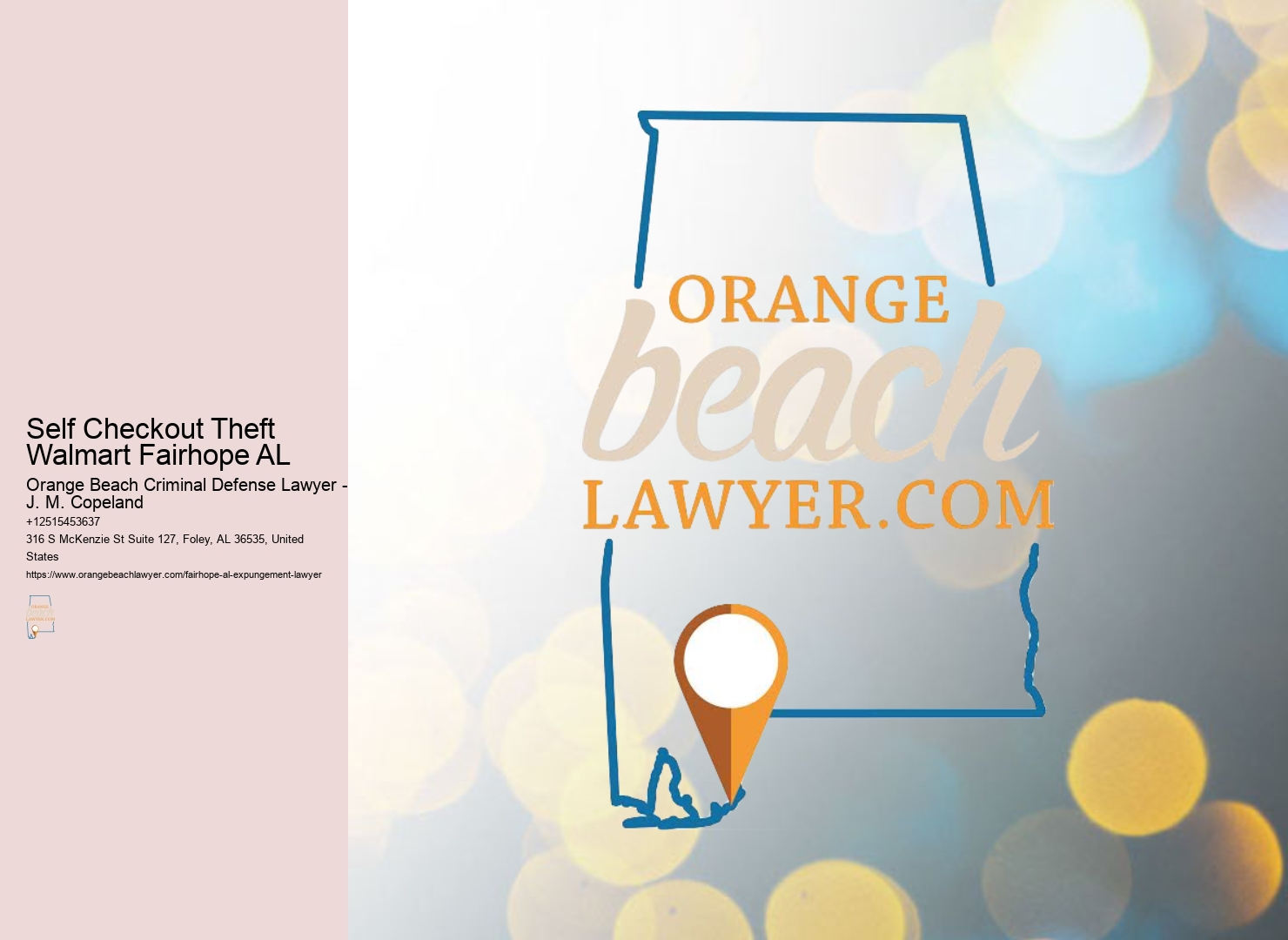 Self Checkout Theft Walmart Fairhope AL