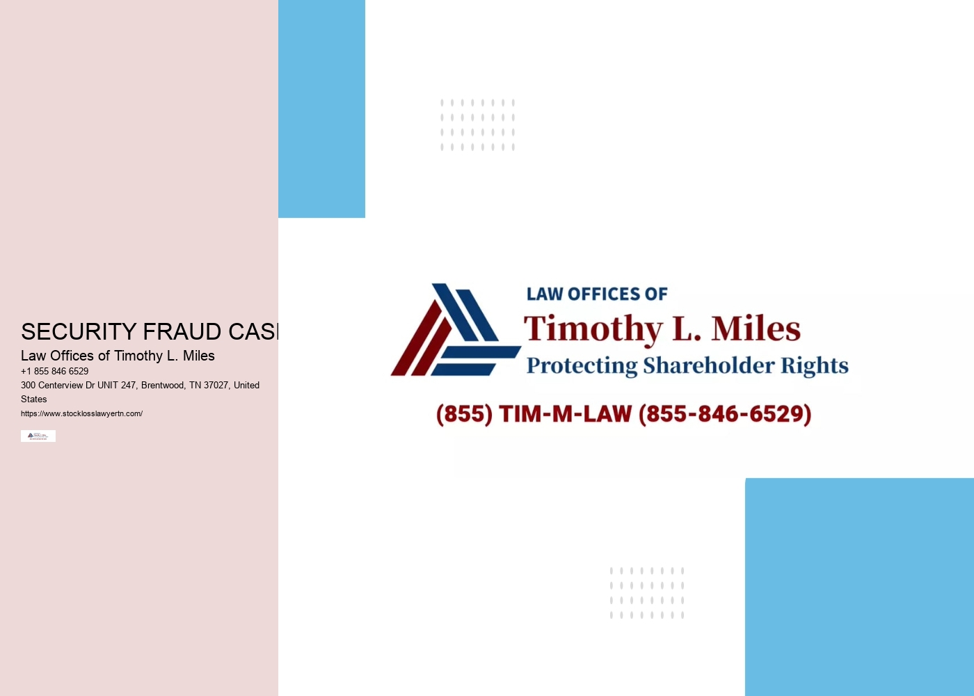 SECURITY FRAUD CASES