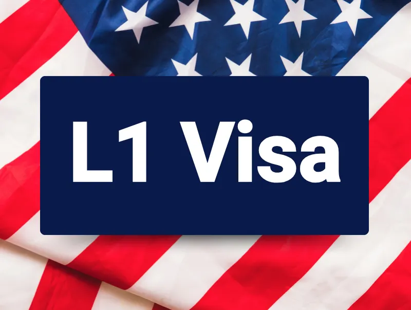 Blanket Petition Strategies and Multi-Employee Transfers