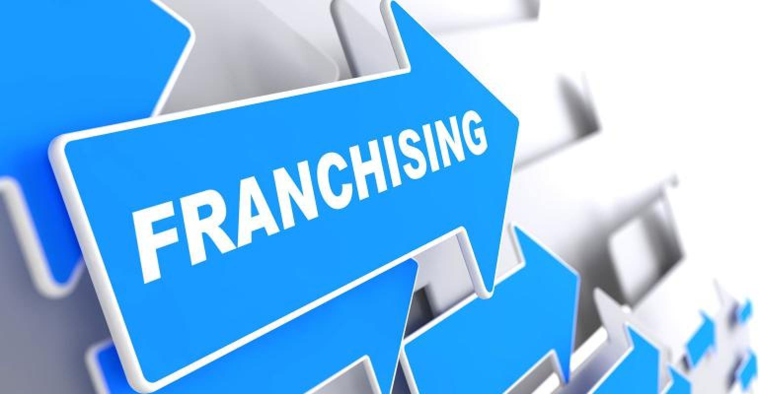 Automotive Franchises