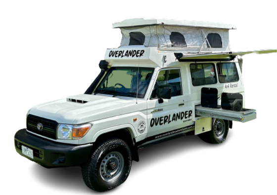 Choosing the Right Vehicle