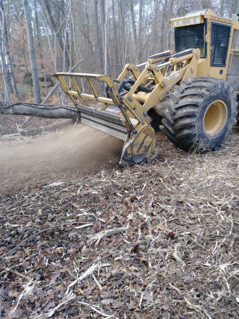 Land Clearing Vs. Excavation