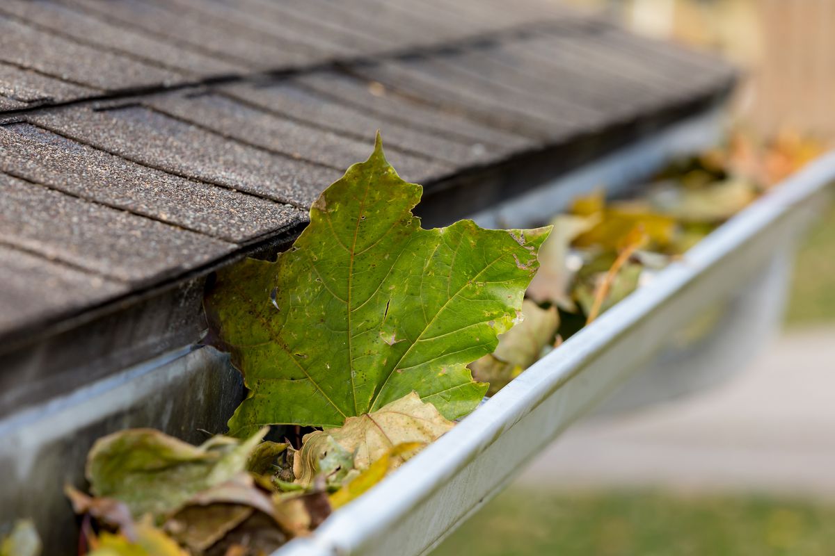 Some Ideas on Gutter Cleaning You Should Know