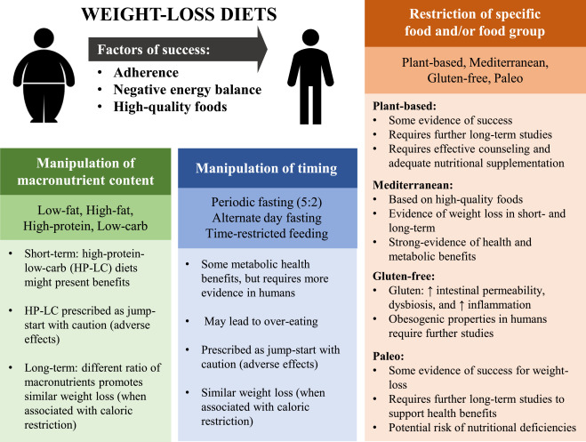 9 Simple Techniques For Diet