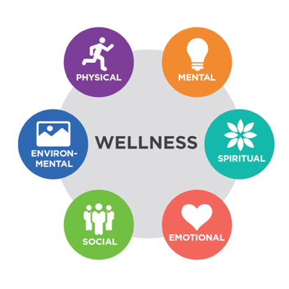 Building a Wellness Routine