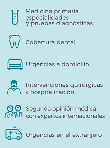 Entender los términos y condiciones de la póliza