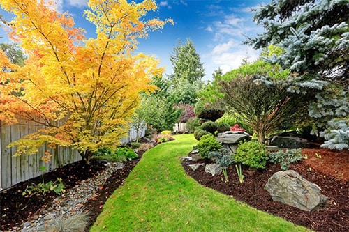 Maintenance Tips for Landscaped Areas