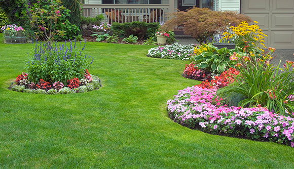 Assessing Your Landscape Needs